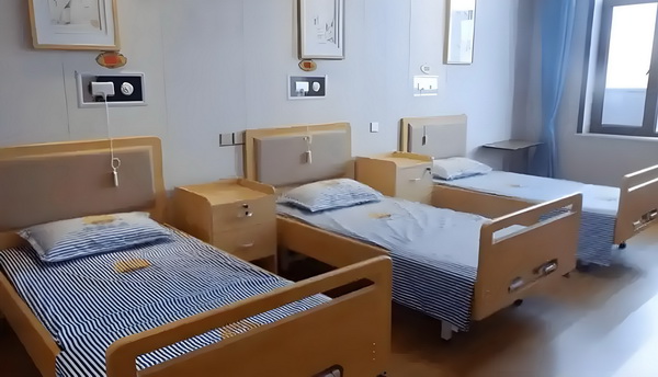 热血首席：宝宝去盗墓